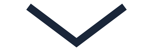 Scroll to date section